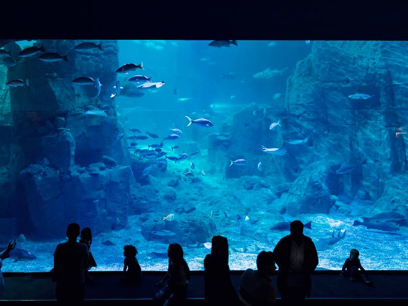 İstanbul Akvaryum