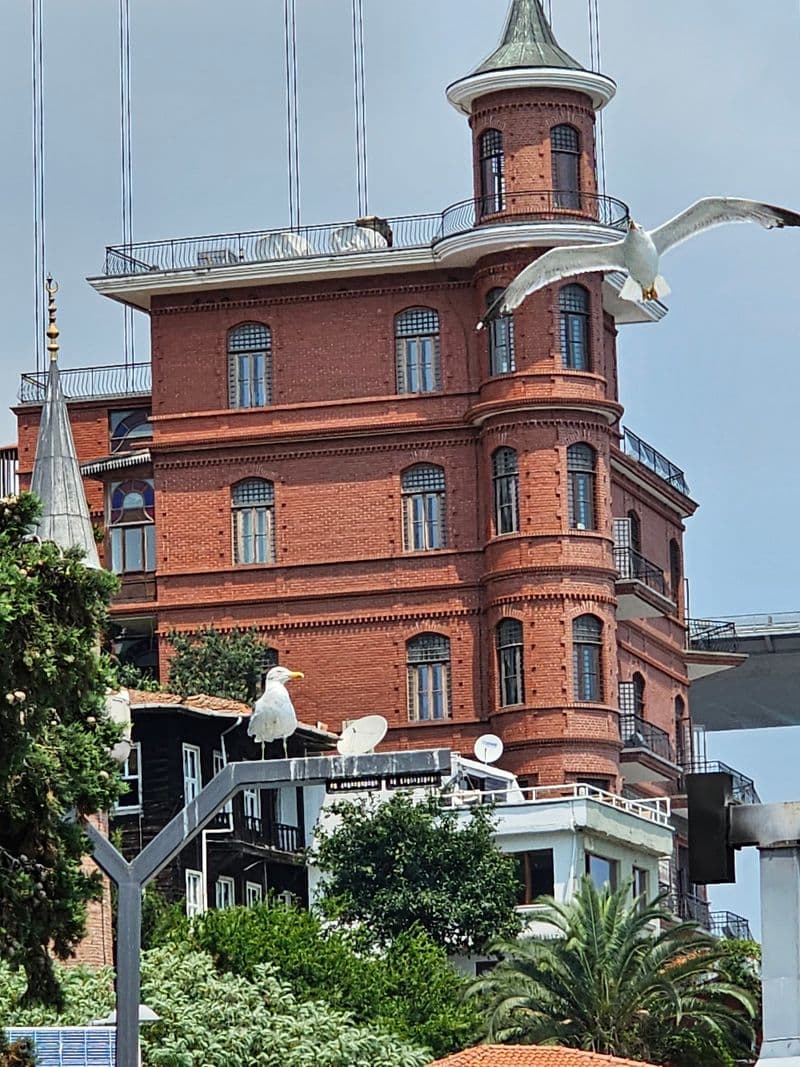 Borusan Contemporary